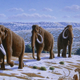 Illustration for article titled Did mammoths die out because of breastfeeding?